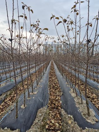 우리농원님의 자유주제 · 자유게시판 작성글 사진