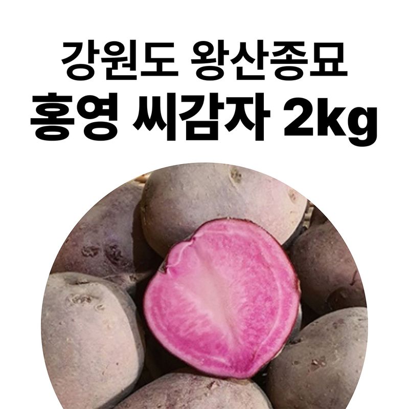 장터 상품 [강원도 왕산종묘 정품 홍영(홍색) 씨감자 2kg (2월초 출고)] 썸네일