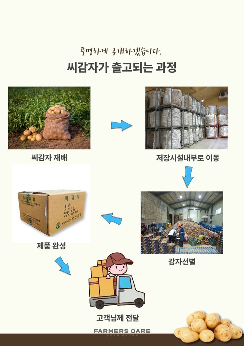 신탄진농약비료마트님의 장터 판매 상품 [강원도 왕산종묘 정품 홍영(홍색) 씨감자 2kg (2월초 출고)] 첨부 사진