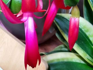 안길원님의 자유주제 · 자유게시판 작성글 사진