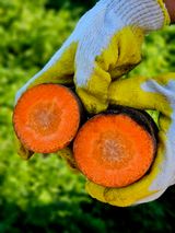 팜모닝 자유주제·자유게시판 게시글 이미지