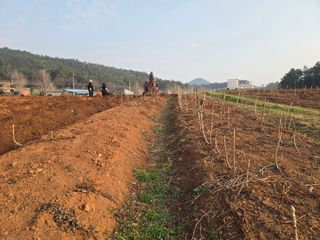 오아성님의 자유주제 · 자유게시판 작성글 사진