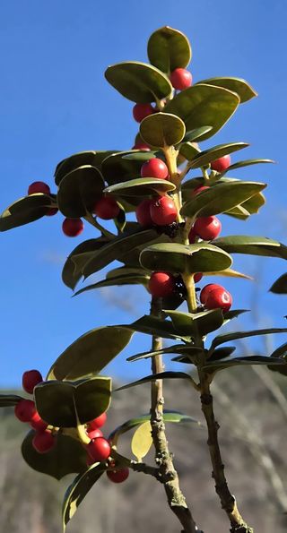 안길원님의 자유주제 · 자유게시판 작성글 사진