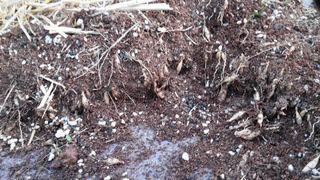 이창신님의 자유주제 · 자유게시판 작성글 사진