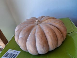 MSG0074님의 자유주제 · 자유게시판 작성글 사진