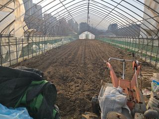 ♡청심전유삼♡님의 자유주제 · 자유게시판 작성글 사진