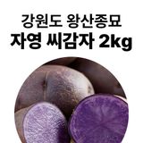 팜모닝 · 게시글 이미지