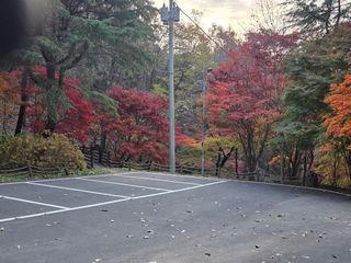제주농부님의 자유주제 · 자유게시판 작성글 사진