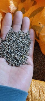 팜모닝 · 게시글 이미지