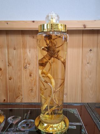 MSG0074님의 자유주제 · 자유게시판 작성글 사진