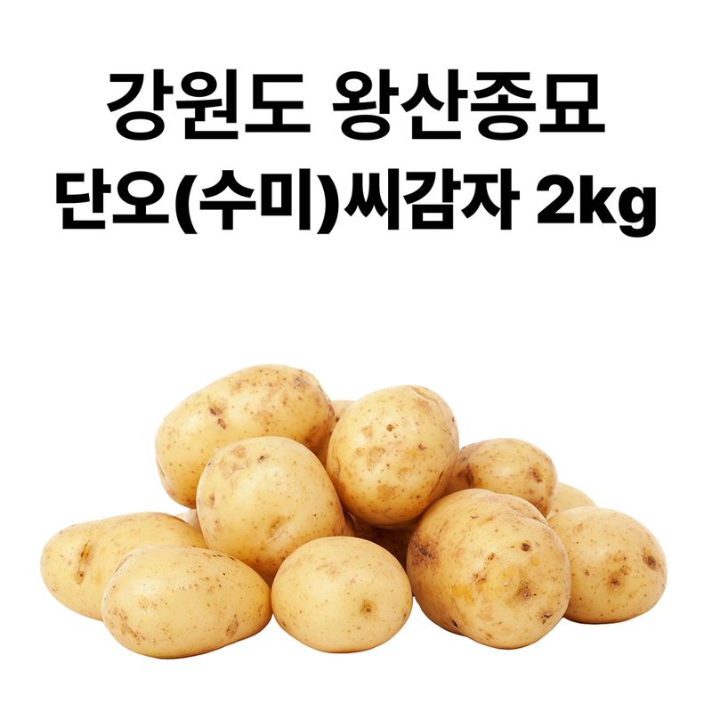 장터 상품 [ 강원도 왕산종묘 정품 단오(수미) 씨감자 2kg (2월초 출고)] 썸네일
