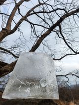 팜모닝 자유주제·자유게시판 게시글 이미지