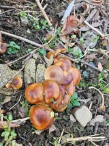 팜모닝 자유주제·자유게시판 게시글 이미지