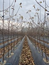 우리농원님의 자유주제·자유게시판 작성글 사진