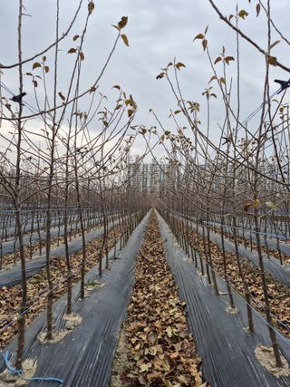 우리농원님의 자유주제 · 자유게시판 작성글 사진