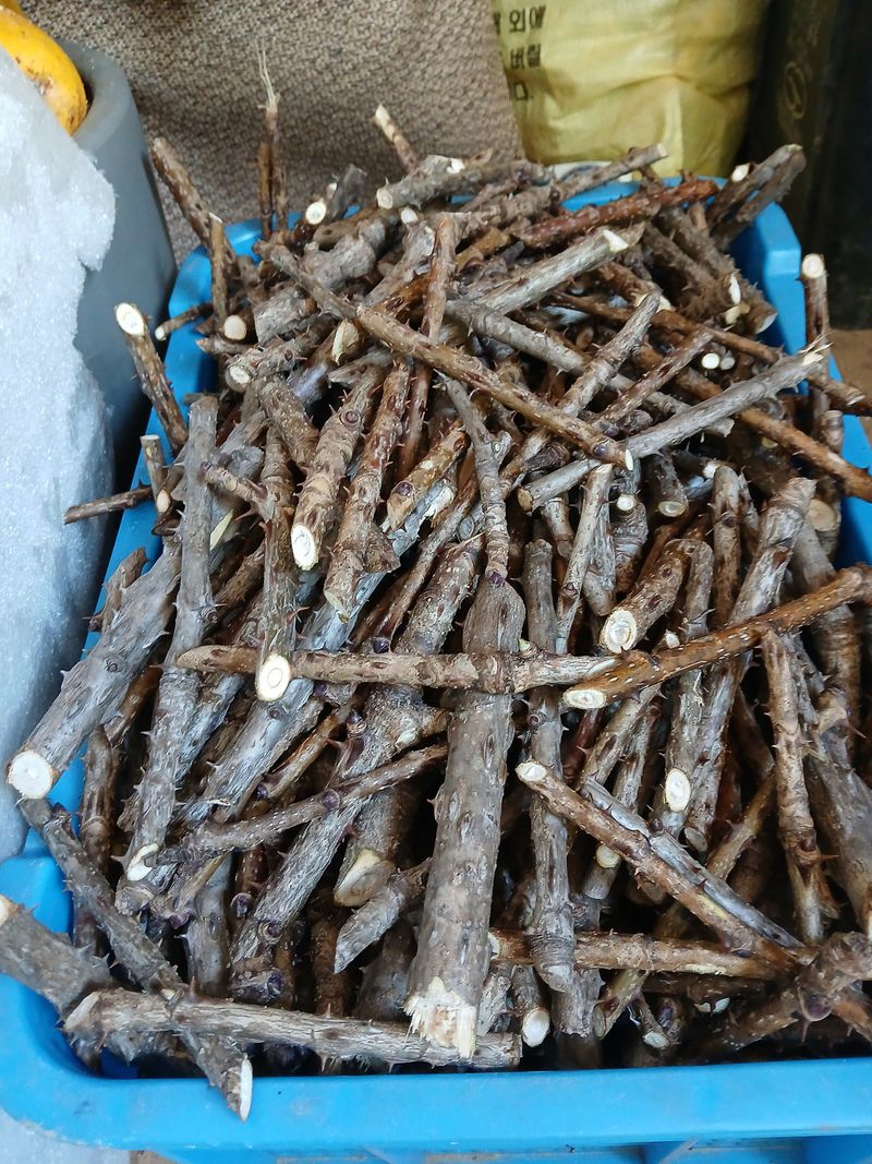 팜모닝회원 최창락 님의 장터 판매 상품 [헛개나무.음나무] 첨부 사진