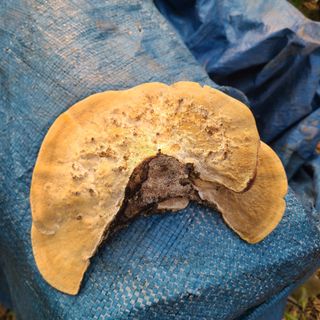 이미순님의 자유주제 · 자유게시판 작성글 사진