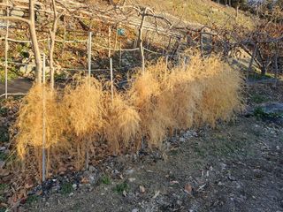 노백수님의 자유주제 · 자유게시판 작성글 사진