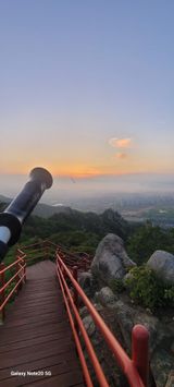 팜모닝 자유주제·자유게시판 게시글 이미지