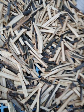 팜모닝회원 최창락 님의 작성글 사진