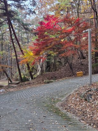 제주농부님의 자유주제 · 자유게시판 작성글 사진