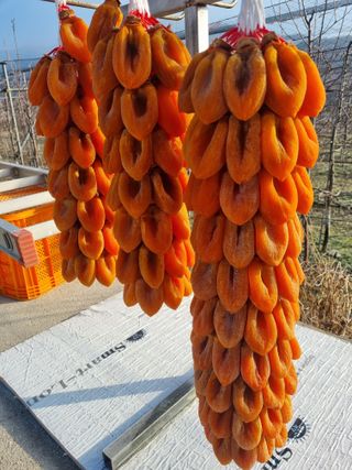 사과와곶감님의 자유주제 · 자유게시판 작성글 사진