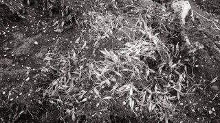 이창신님의 자유주제 · 자유게시판 작성글 사진