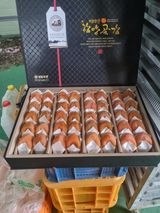 사과와곶감님의 자유주제·자유게시판 작성글 사진