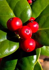 팜모닝 자유주제·자유게시판 게시글 이미지