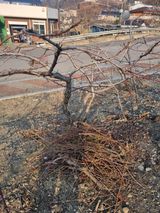 팜모닝 자유주제·자유게시판 게시글 이미지