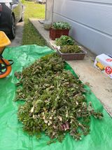 팜모닝 자유주제·자유게시판 게시글 이미지