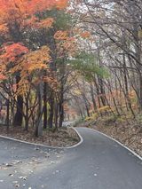 팜모닝 자유주제·자유게시판 게시글 이미지