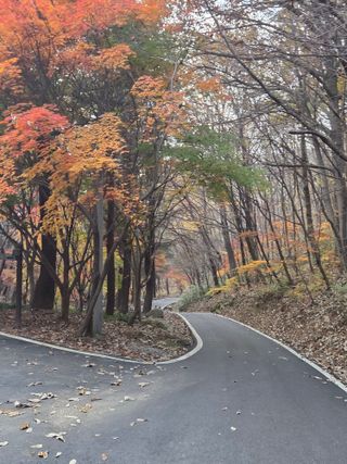 제주농부님의 자유주제 · 자유게시판 작성글 사진