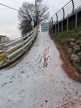 팜모닝 자유주제·자유게시판 게시글 이미지