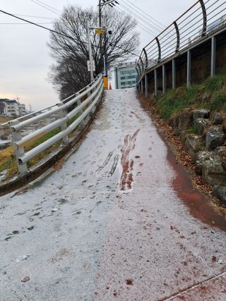 MSG0074님의 자유주제 · 자유게시판 작성글 사진