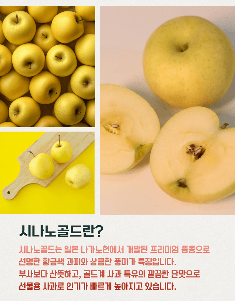 과일팩토리님의 장터 판매 상품 [[시나노골드 선물세트] 과일팩토리 고당도 황금사과 시나노골드 3kg/5kg] 첨부 사진
