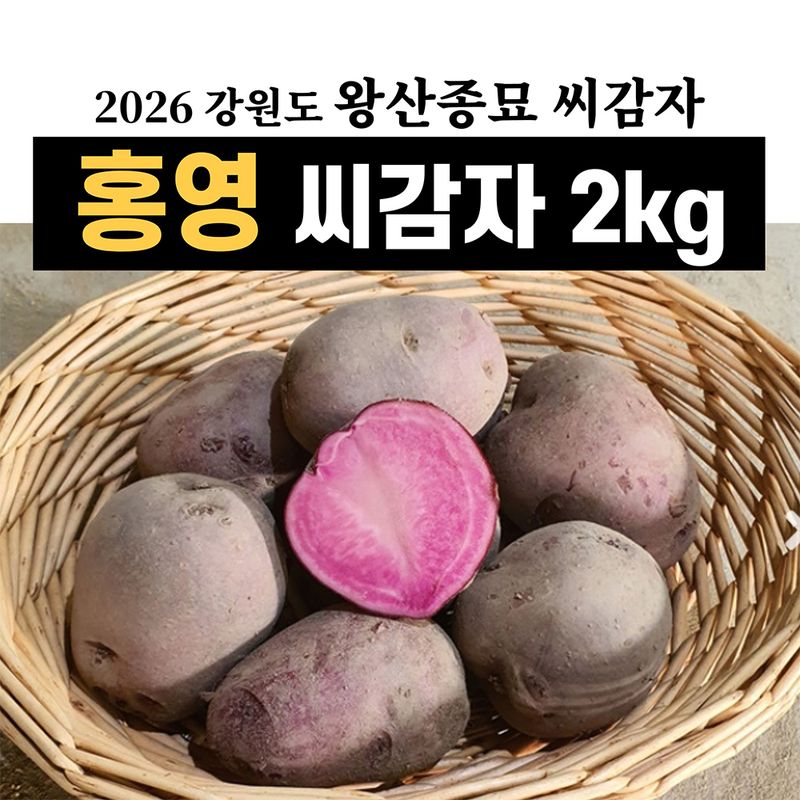장터 상품 [강원도 왕산종묘 정품 홍영(홍색) 씨감자 2kg (2월초 출고)] 썸네일