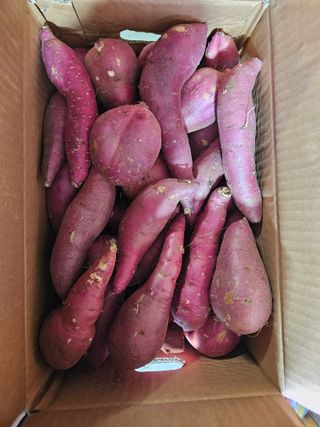 이영민님의 작성글 사진