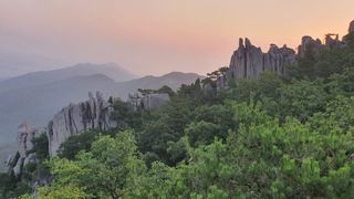 제주농부님의 자유주제 · 자유게시판 작성글 사진