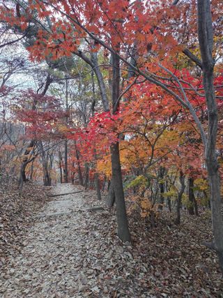 제주농부님의 자유주제 · 자유게시판 작성글 사진