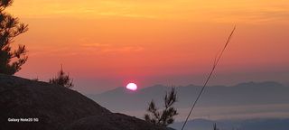 제주농부님의 자유주제 · 자유게시판 작성글 사진