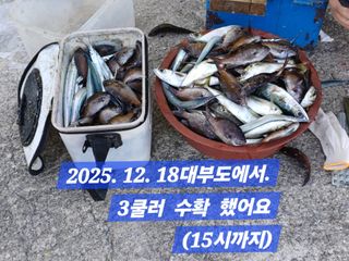 박성민님의 자유주제 · 자유게시판 작성글 사진