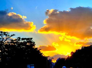 안길원님의 자유주제 · 자유게시판 작성글 사진