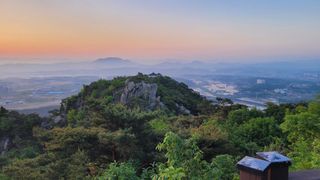 제주농부님의 자유주제 · 자유게시판 작성글 사진