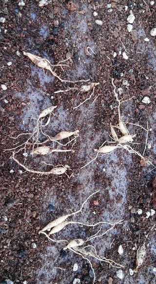 이창신님의 자유주제 · 자유게시판 작성글 사진