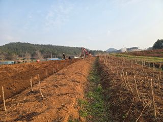 오아성님의 자유주제 · 자유게시판 작성글 사진