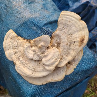 이미순님의 자유주제 · 자유게시판 작성글 사진