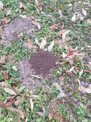 오재천님의 자유주제 · 자유게시판 작성글 사진