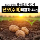 팜모닝 · 게시글 이미지