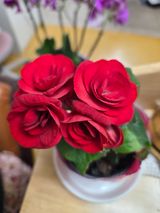 팜모닝 · 게시글 이미지